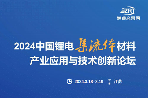 我公司将组建专家团参加“2024年3-20苏州锂电集流体展会”